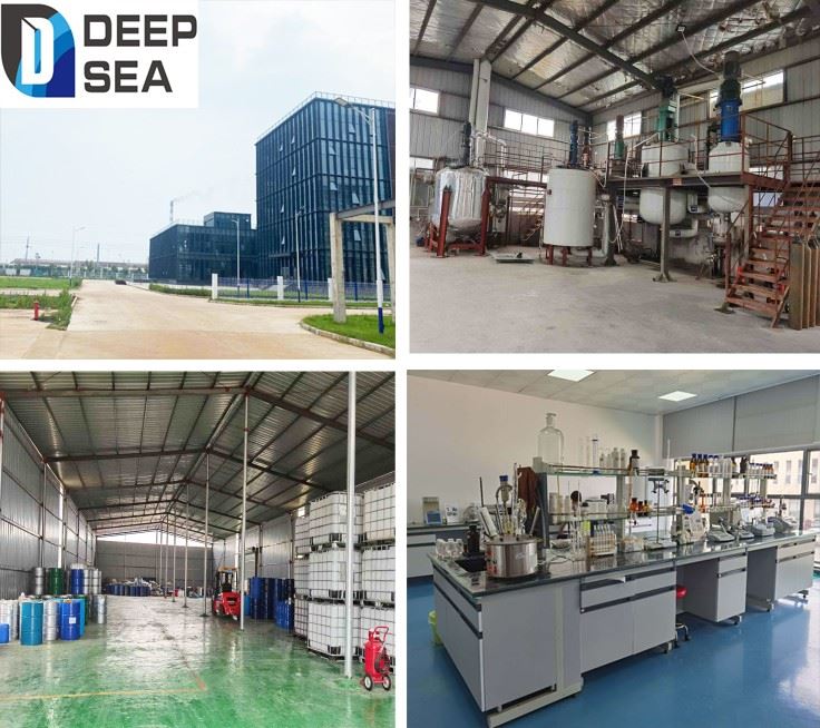 Company overview
